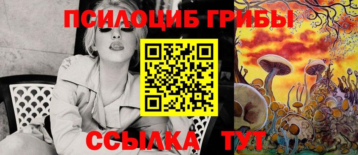 Псилоцибиновые грибы MAGIC MUSHROOMS  Вход с VPN  Кемерово 