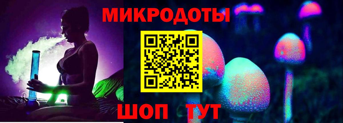 Псилоцибиновые грибы мицелий Кемерово